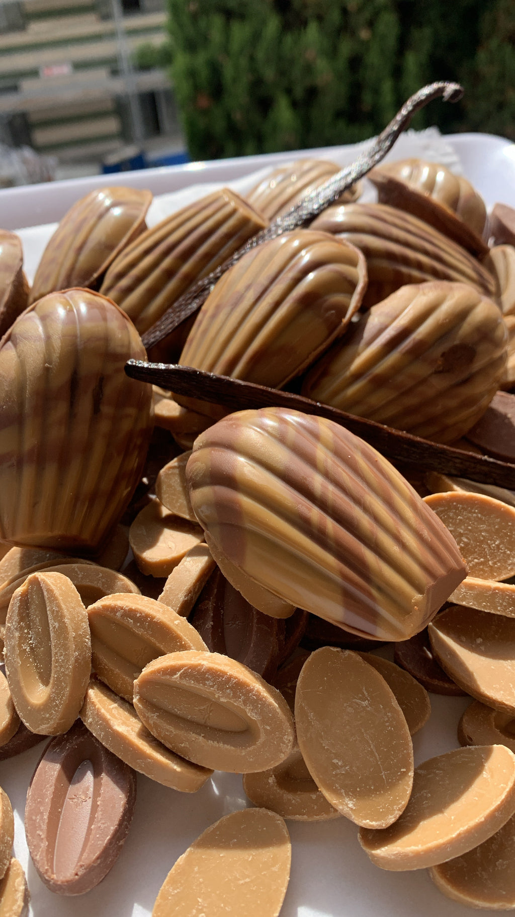 LA PAIRE DE MADELEINES